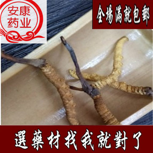 冬虫夏草 中药材 冬虫夏草 虫草 冬虫夏草 精选 虫草 1克