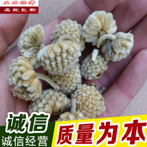 雪梨花 中药材雪梨花 绿萝花 黄金葛 藤芋 石柑子 500克包邮