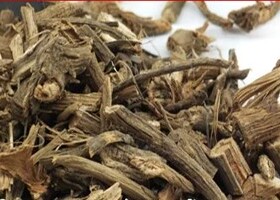 中药材 陆英根  接骨草 臭草 蒴藿 七叶根 七叶麻 走马前 八棱麻