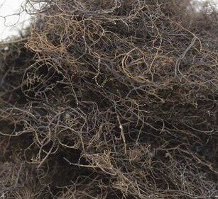 头发七 中药材 人头七,黑丝带  500克