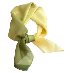 雪纺真丝丝巾女2025新款100%桑蚕丝中方巾渐变黄绿色轻薄秋冬领巾