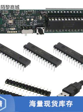 全新原装DM330013-2正品/MICROSTICK II DSPIC33/24FJ/