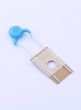 全新原装DE2E3KY222MNAAM02F正品/等级:X1,Y2 2.2nF ±2