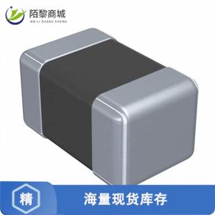 BEAD FERRITE KOHM 1LN 全新原装 0805 BMB2A1000LN2正品