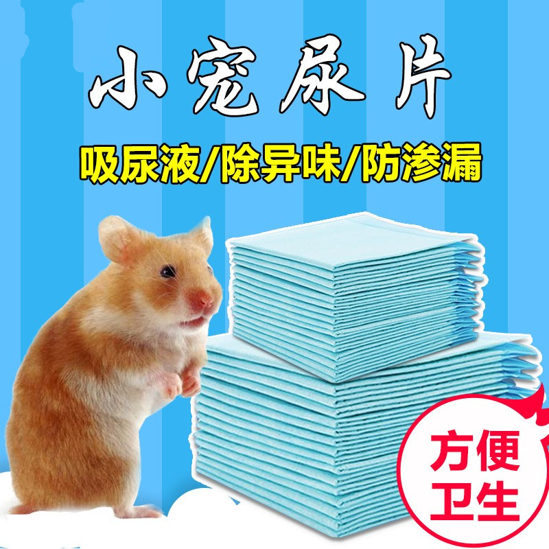 通用龙猫松鼠适用除臭杀菌图片