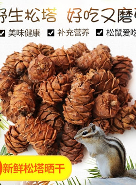 包邮魔王宠物马尾松口粮飞鼠