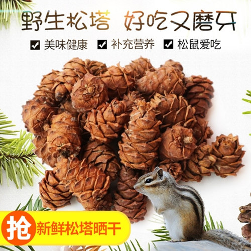 包邮魔王宠物马尾松口粮飞鼠