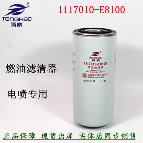 1117010-E8100柴油滤清器天锦KR