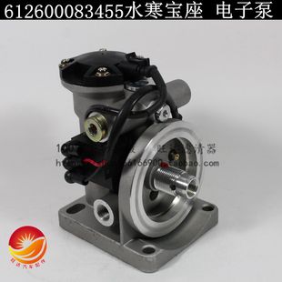 潍动柴力 24V电子泵德龙华凌霸龙重卡 612600083455 燃油水寒宝座