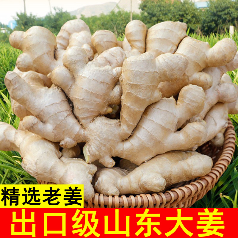 出口级大姜老姜绿色大黄姜月子姜山东姜大块生姜新鲜5斤装老姜母
