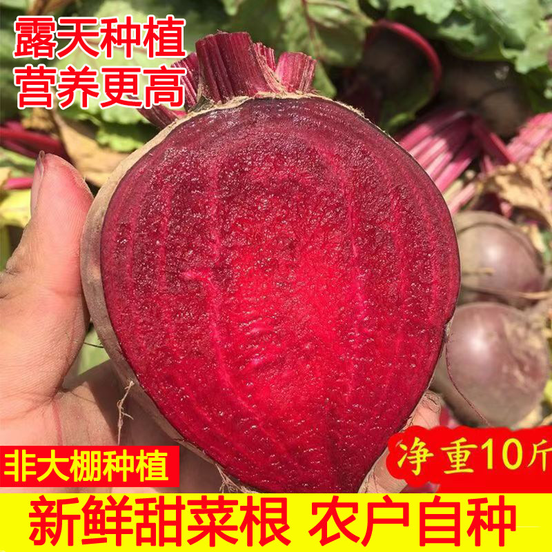 新鲜甜菜根现挖发货甜菜头精选甜菜红菜头纯红多汁5/10斤农家自种图片