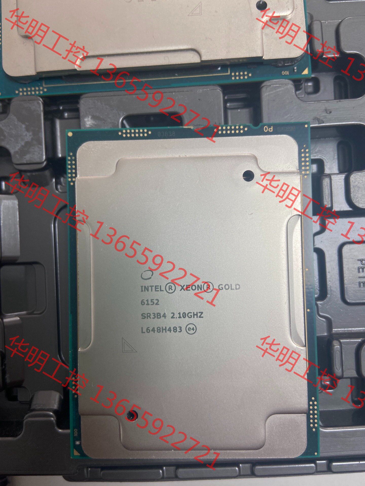 议价 intel 至强 金牌 6152 成色新 正显版有