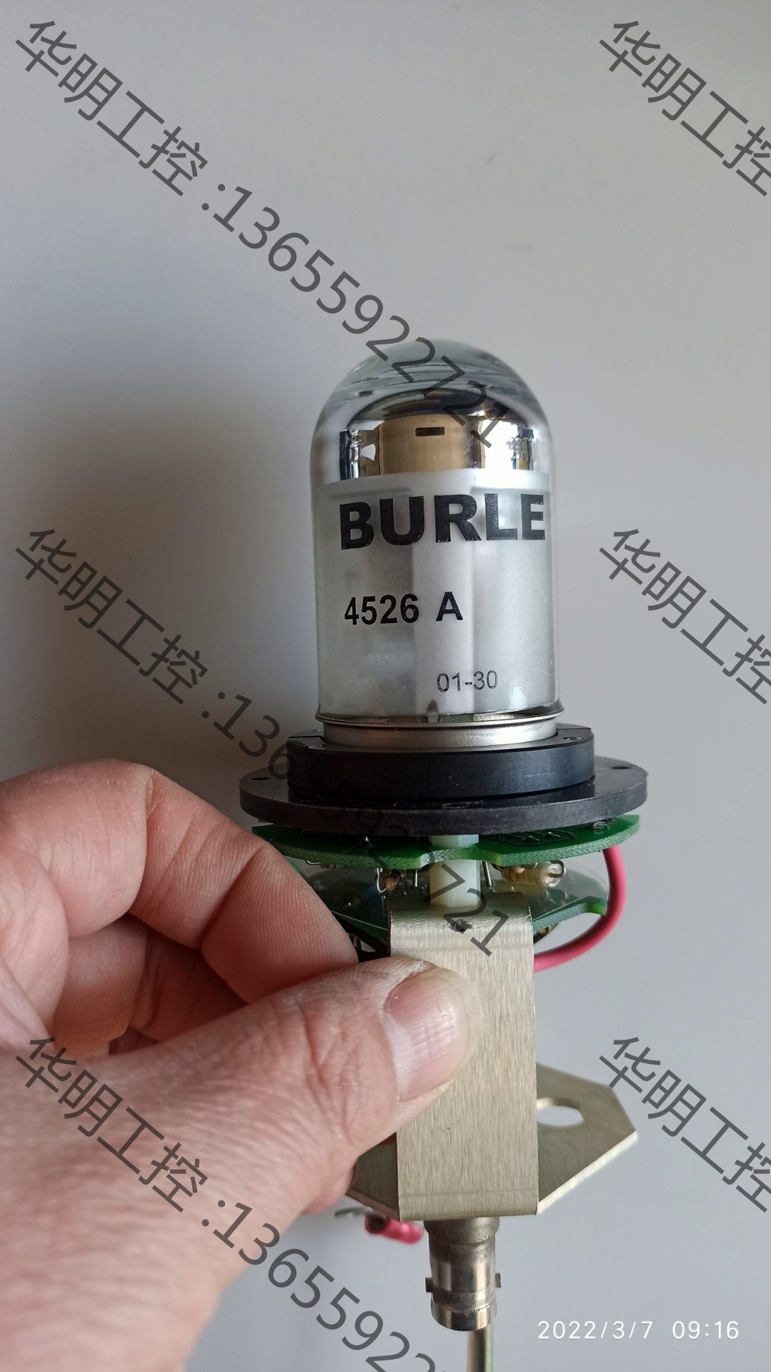 议价 BURLE 4526A电子管 倍增管 拆机 实物图片保证质量