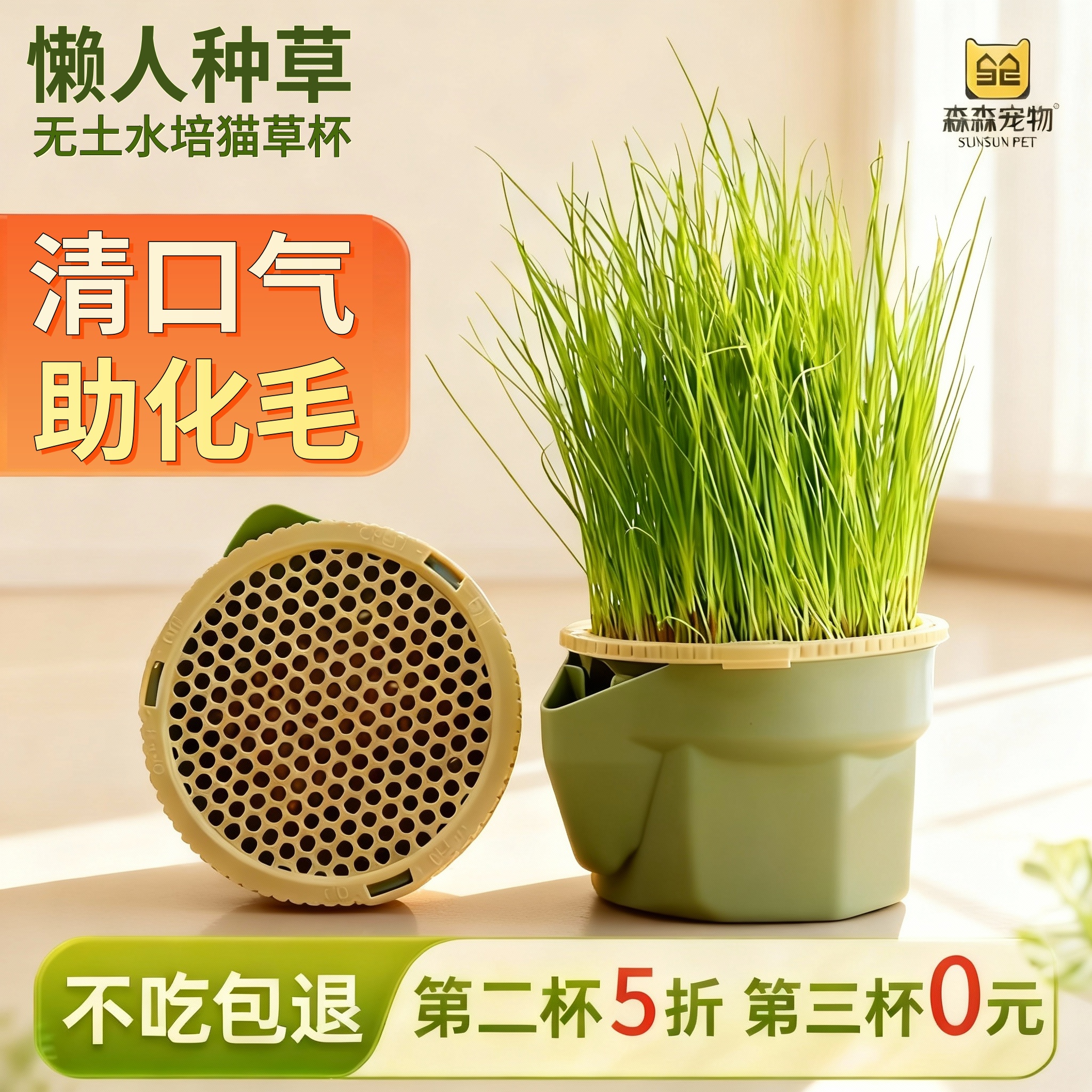 森森猫草杯懒人种草化毛猫草盆栽
