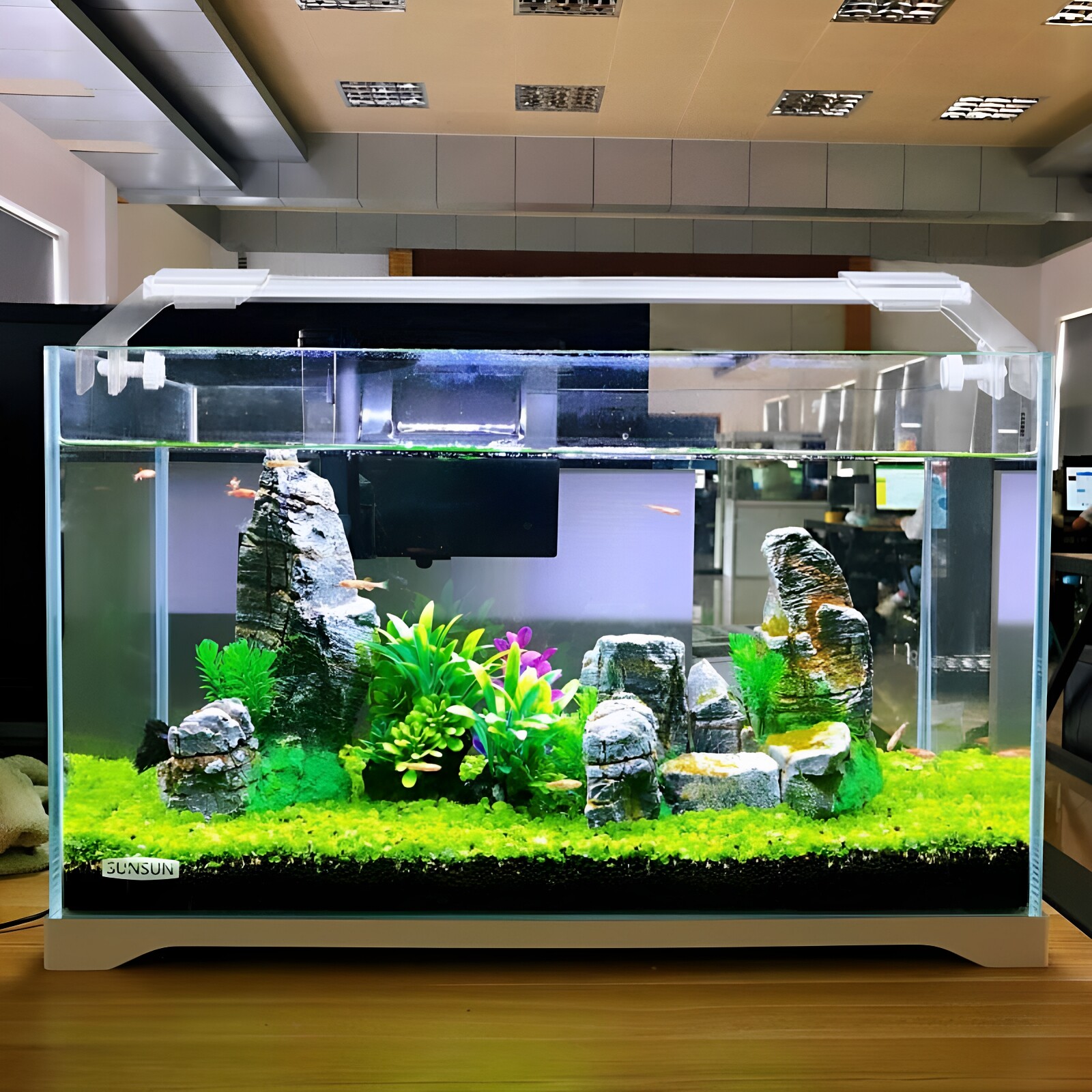 森森金鱼缸小型水族箱超白玻璃客厅生态水草缸乌龟缸裸缸造景草缸