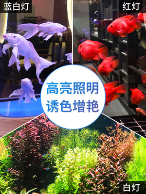 潜水防水七彩森森鱼缸光灯管水族箱照明灯谱LED水草灯全专用增艳