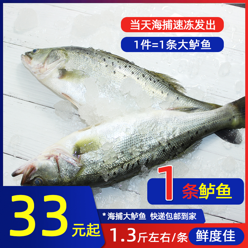Qingdao sea bass Sea bass 1kgin the Aquatic meat/Fresh fruits and vegetables/Cooked , Seafood/Aquatic/Product , Seafood Fish , 鲈鱼 category - from Buy2taobao.com to provide professional Taobao agent buy service