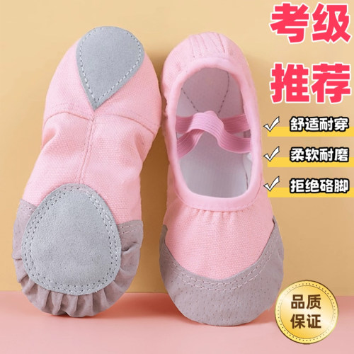 儿童专用芭蕾舞蹈鞋女童粉色中国舞软底鞋男练功鞋幼儿秋季跳舞鞋