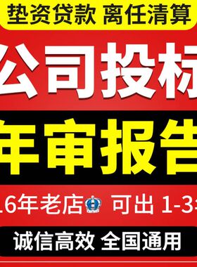 公司审计咨询年度报表清算离任年检企业投标财务报告咨询培训