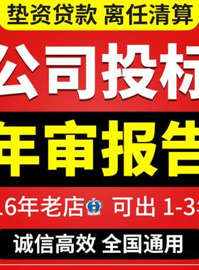 公司审计咨询年度报表清算离任年检企业投标财务报告咨询培训