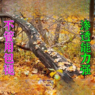 强力烂根粉大树竹子杂草专用清理粉剂枯树王烂根腐蚀根剂除草神器