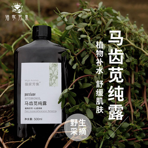 马齿苋纯露舒缓屏障脆弱湿敷