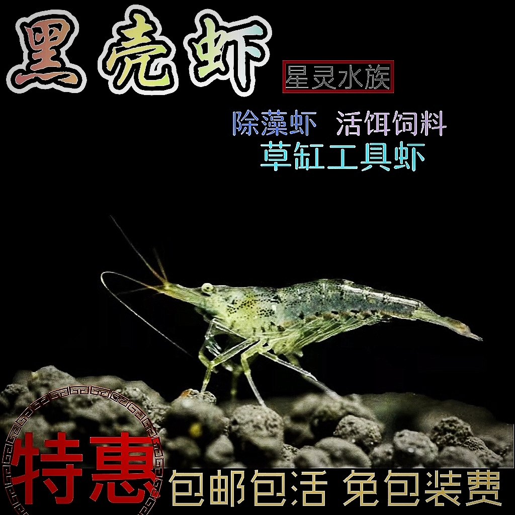 除藻黑壳虾水草虾草缸清洁工具鱼虾活体乌龟饲料顺丰淡水观赏虾粮-封面