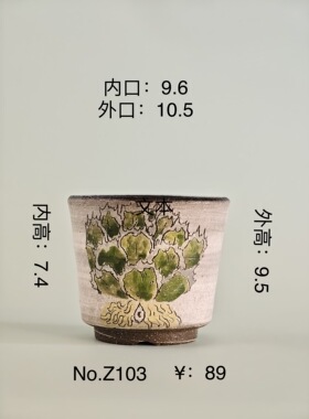 直播孤品Z103内口：9.6内高：7.4