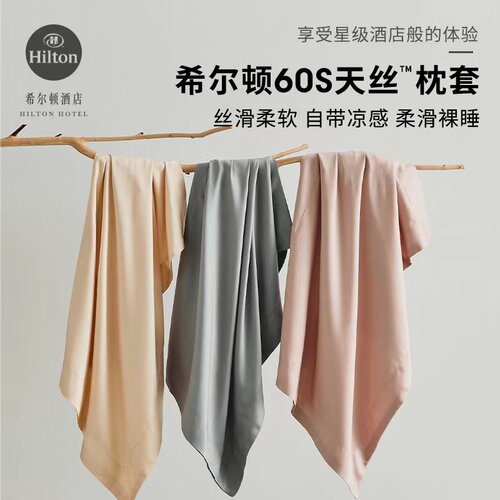 60支天丝夏季凉枕头套一对高级感