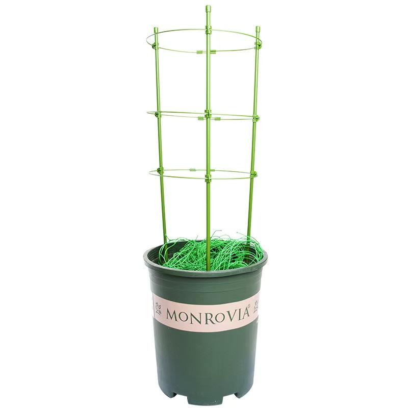 爬藤架子花支架月季花架