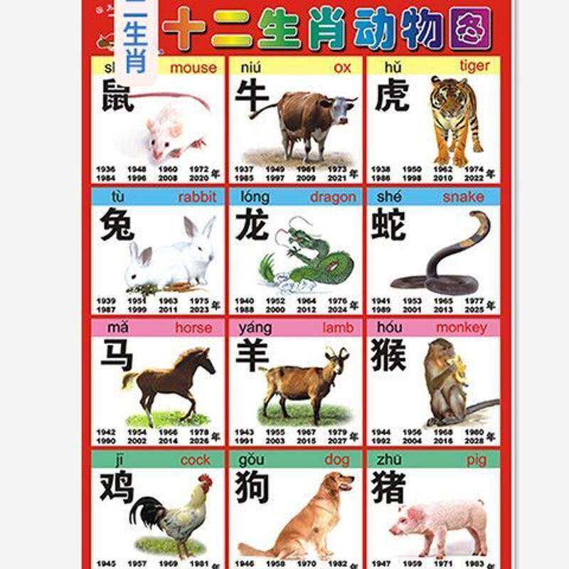 十二生肖动物图宝宝海报早教认物幼儿童挂图识字启蒙认知图片无声