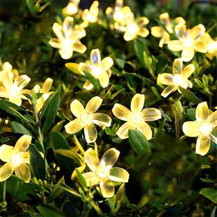 太阳能装饰布置阳台楼顶天台露台户外庭院园林挂树围栏防水le灯串