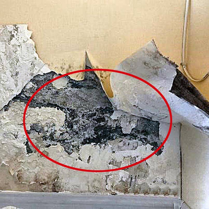 墙面脱落修复 防水防潮抗碱