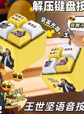 没出息王世坚从从容容发光语音发音按键按钮挂件钥匙扣解压玩具