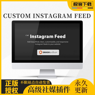 Developer Custom Pro Feed 自定义社媒信息流同步工具 Instagram