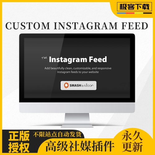 Custom Instagram Feed Pro Developer 自定义社媒信息流同步工具