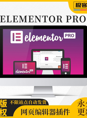 Elementor Pro WP英文汉化编辑器插件送2100套模板及视频教程
