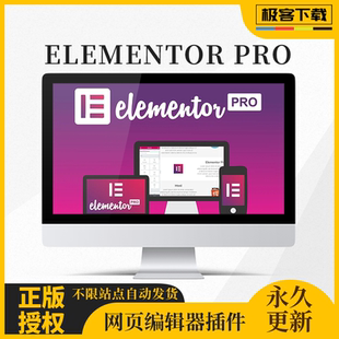Elementor Pro WP英文汉化编辑器插件送2100套模板及视频教程