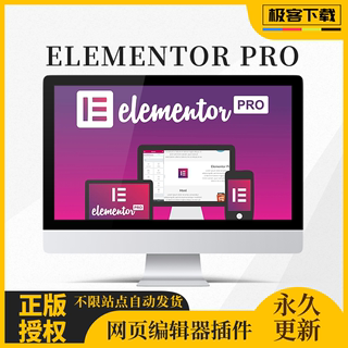 Elementor Pro 英文汉化编辑器插件送2100套模板及视频教程