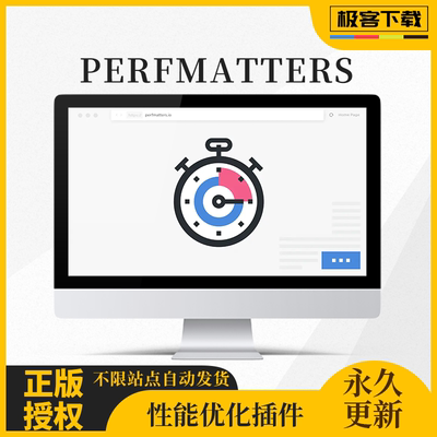 Perfmatters插件 WordPress站点性能优化监控不限站点