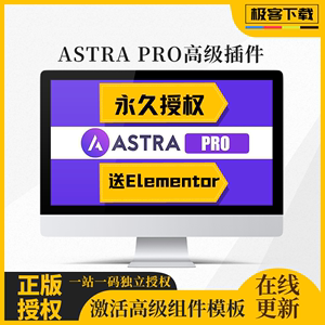 Astra Pro主题正版授权永久有效在线更新Wordpress企业商城模板