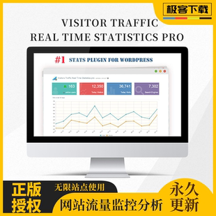 Visitor Traffic Real Time Statistics Pro插件 实时访客 分析