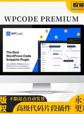 WPCode Premium Wordpress代码片段管理高级插件