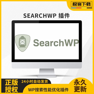 SearchWP 插件 送扩展 Wordpress网站搜索商品查询搜索结果页优化
