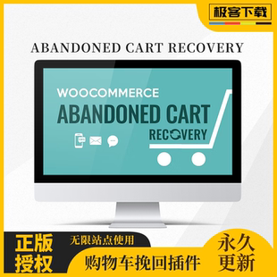 WooCommerce Abandoned Cart Recovery 购物车订单流失挽回弃单