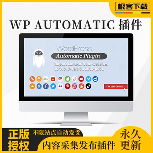 WP Automatic Plugin 内容文章商品整站自动采集插件官方原版永久