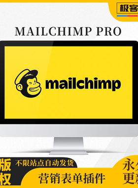 MC4WP插件 Mailchimp for WordPress Premium 表单营销插件高级版