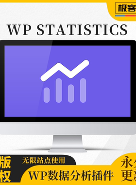 WP Statistics 插件 Premium高级版 WP数据分析 WP数据 包含扩展