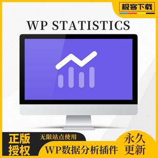 WP Statistics 插件 Premium高级版 WP数据分析 WP数据 包含扩展