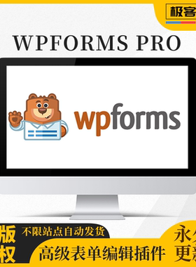 WPForms Pro英文原版+汉化表单插件 Wordpress拖拽式表单生成器